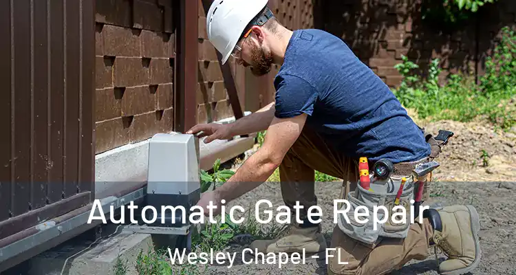  Automatic Gate Repair Wesley Chapel - FL
