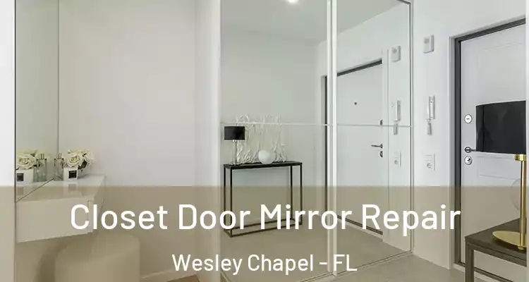 Closet Door Mirror Repair Wesley Chapel - FL