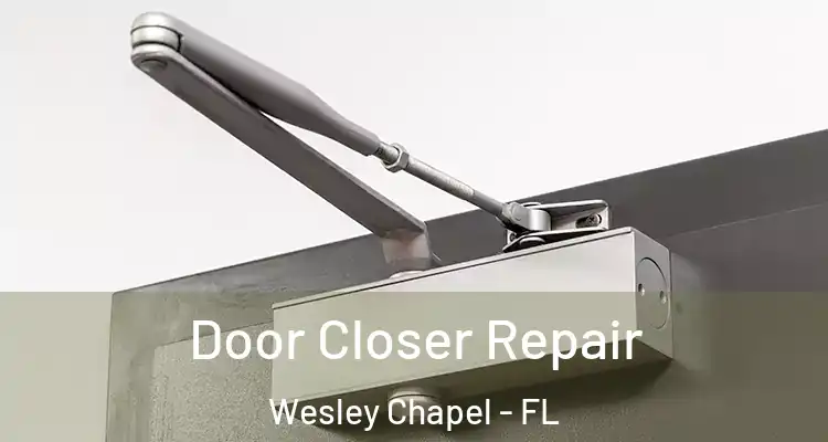  Door Closer Repair Wesley Chapel - FL