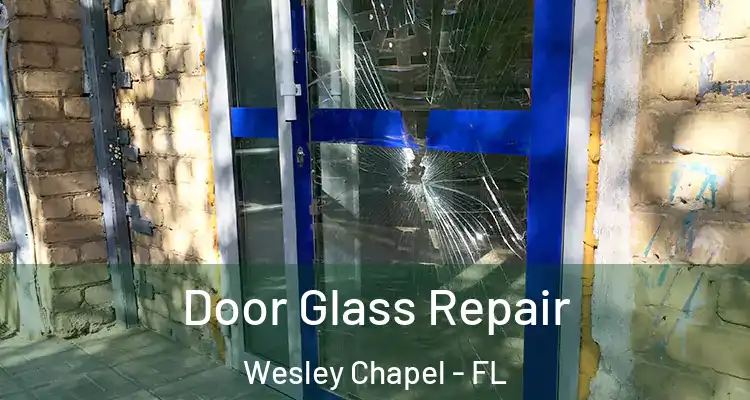  Door Glass Repair Wesley Chapel - FL
