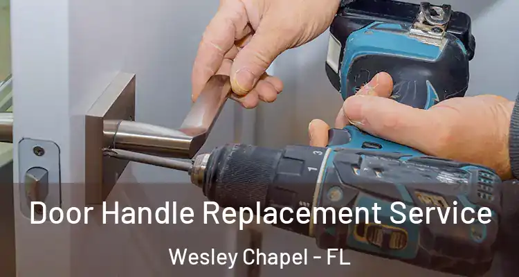  Door Handle Replacement Service Wesley Chapel - FL