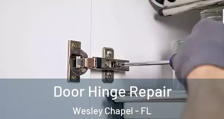  Door Hinge Repair Wesley Chapel - FL