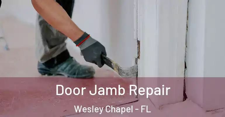  Door Jamb Repair Wesley Chapel - FL