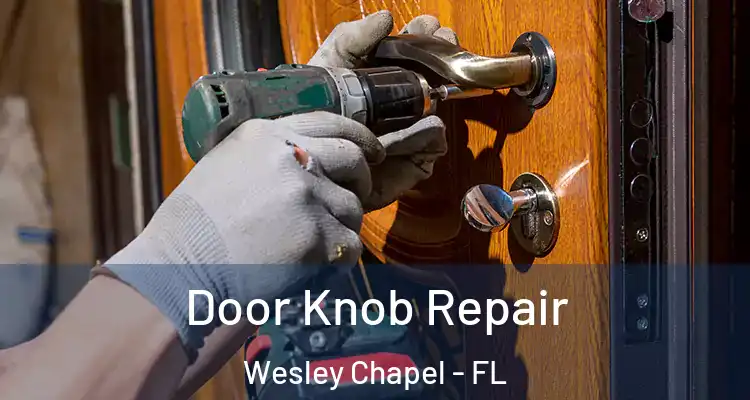  Door Knob Repair Wesley Chapel - FL