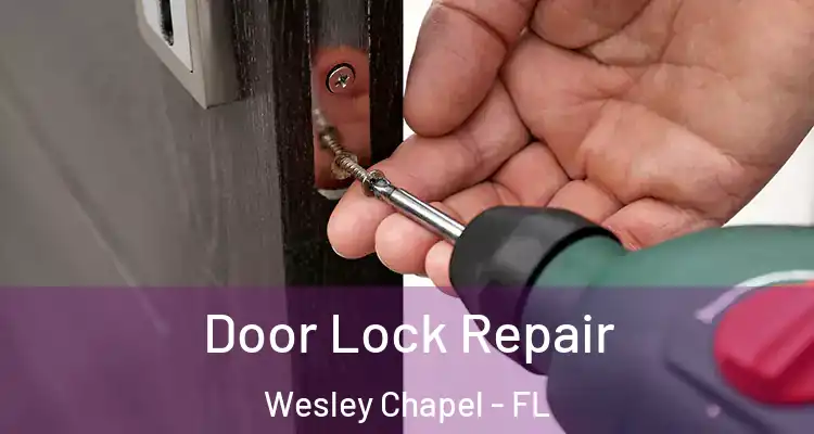  Door Lock Repair Wesley Chapel - FL