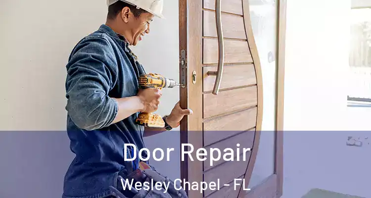  Door Repair Wesley Chapel - FL