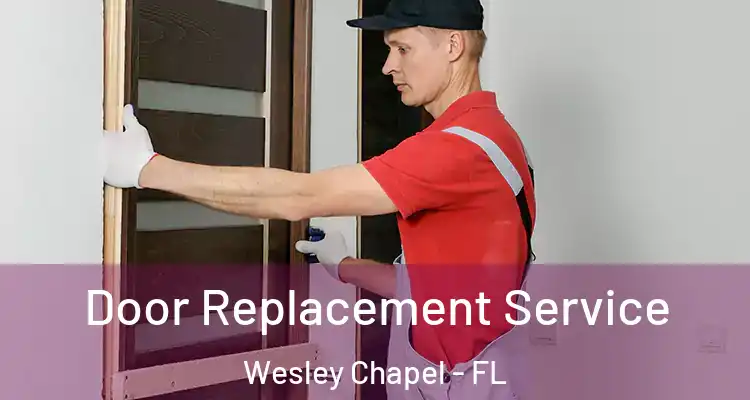  Door Replacement Service Wesley Chapel - FL