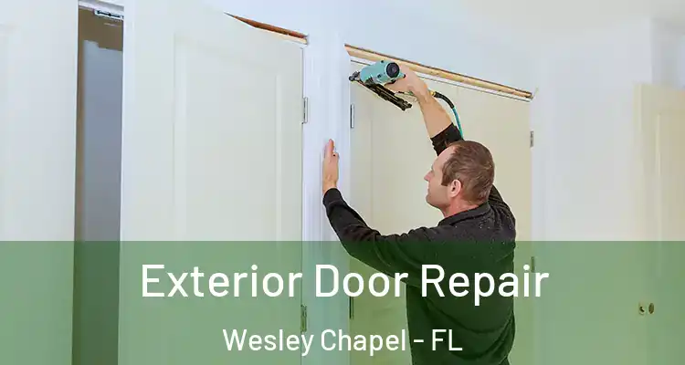 Exterior Door Repair Wesley Chapel - FL