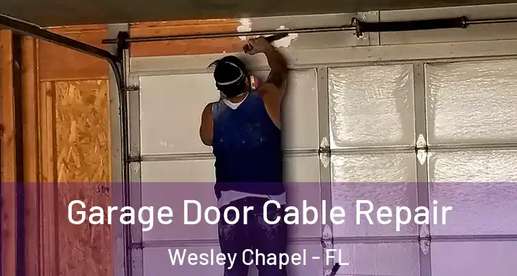  Garage Door Cable Repair Wesley Chapel - FL