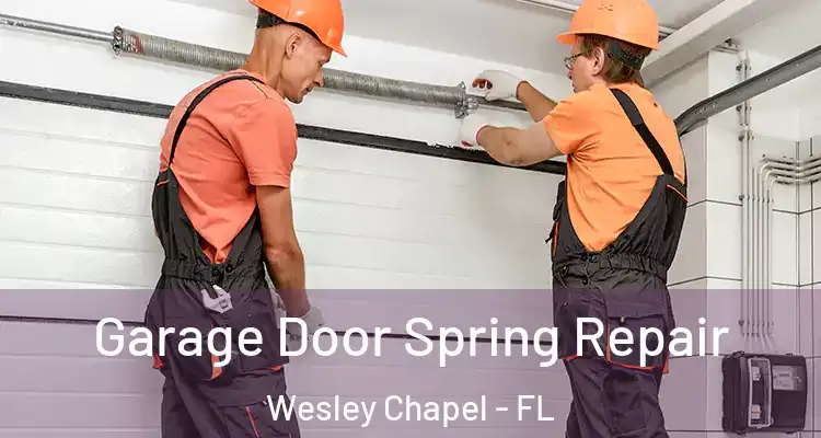  Garage Door Spring Repair Wesley Chapel - FL
