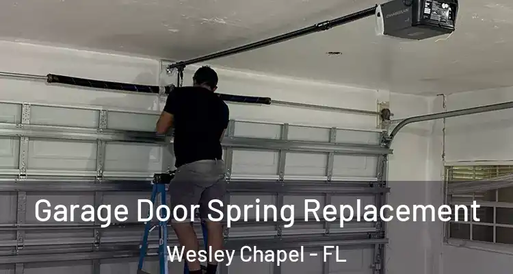  Garage Door Spring Replacement Wesley Chapel - FL