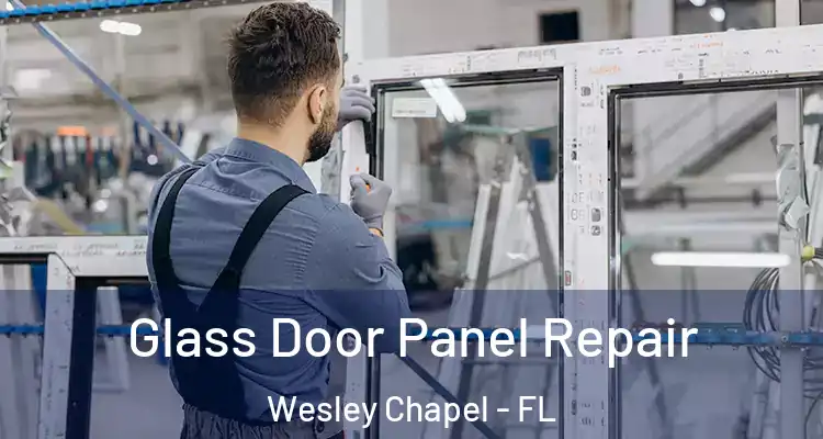 Glass Door Panel Repair Wesley Chapel - FL