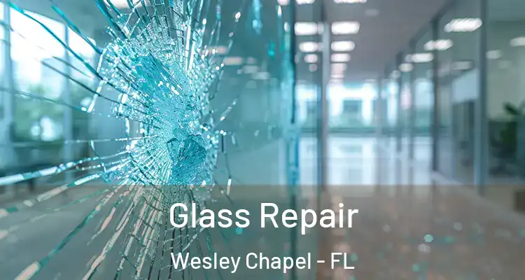 Glass Repair Wesley Chapel - FL