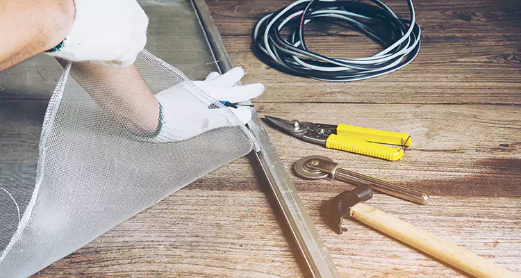 Our Pool Enclosure Mesh Repair Services in Wesley Chapel, FL