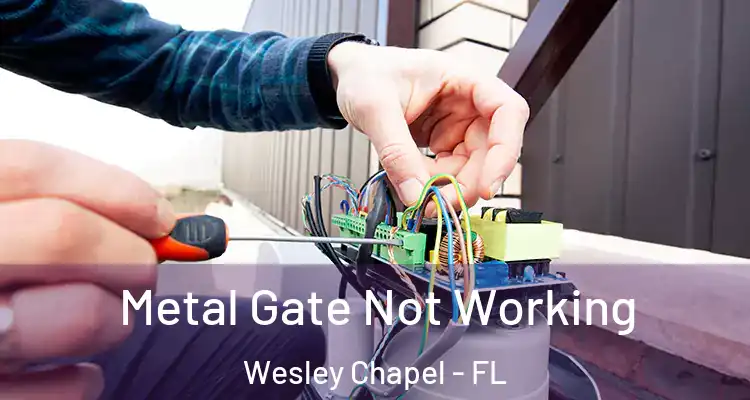  Metal Gate Not Working Wesley Chapel - FL
