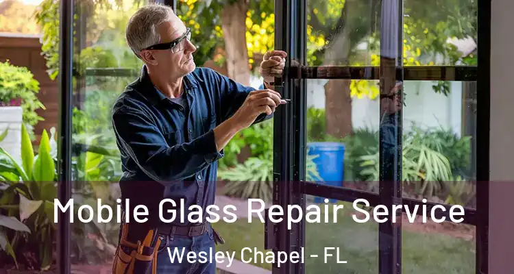 Mobile Glass Repair Service Wesley Chapel - FL