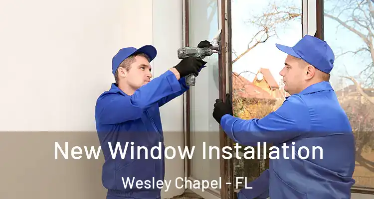  New Window Installation Wesley Chapel - FL