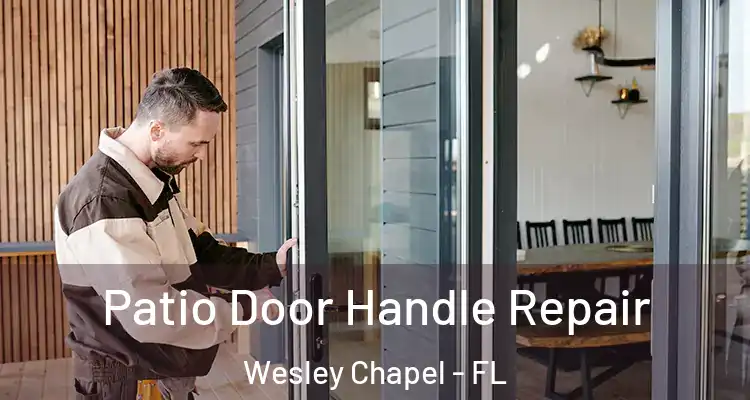  Patio Door Handle Repair Wesley Chapel - FL