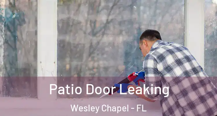 Patio Door Leaking Wesley Chapel - FL