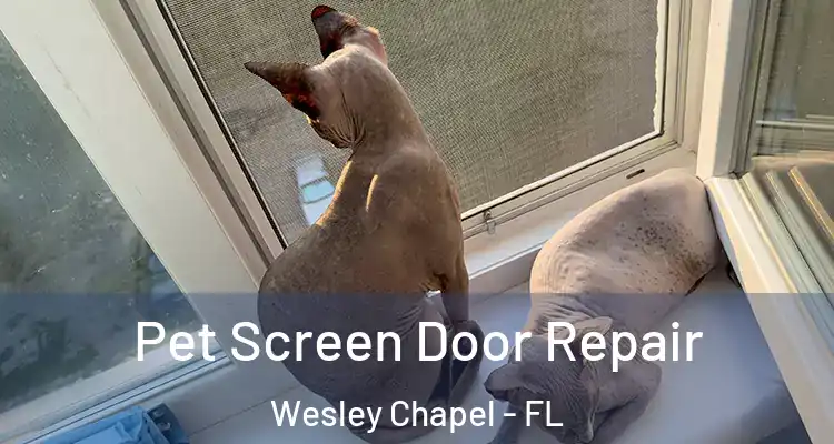  Pet Screen Door Repair Wesley Chapel - FL