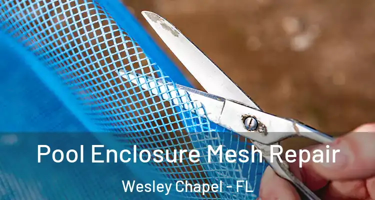  Pool Enclosure Mesh Repair Wesley Chapel - FL