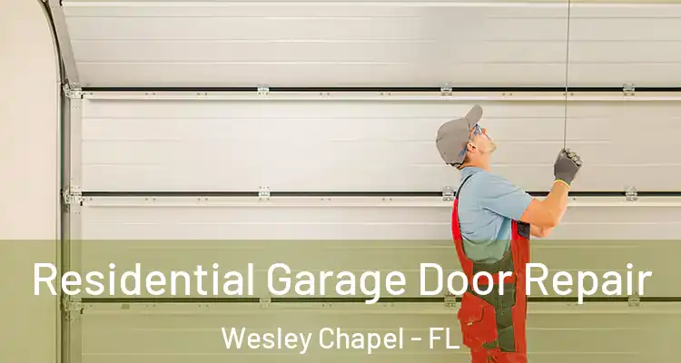  Residential Garage Door Repair Wesley Chapel - FL