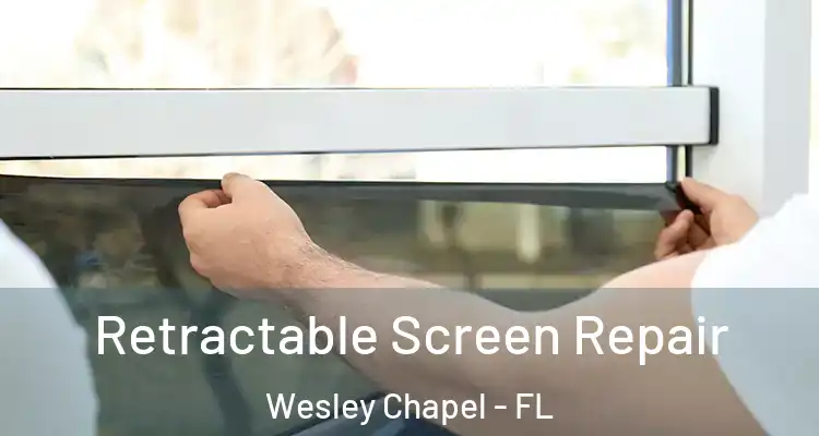  Retractable Screen Repair Wesley Chapel - FL