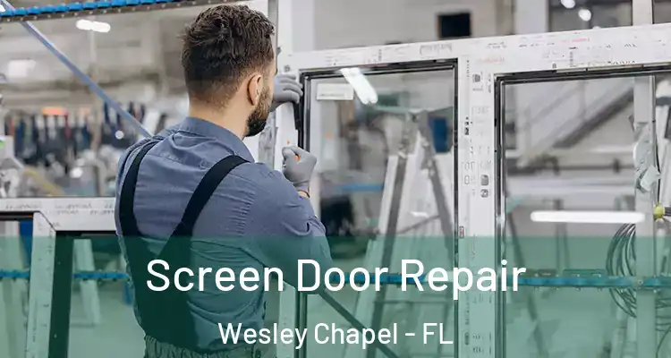 Screen Door Repair Wesley Chapel - FL