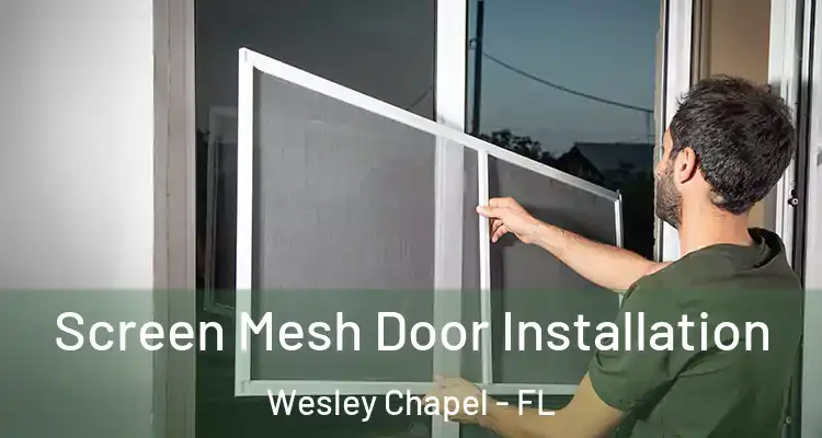  Screen Mesh Door Installation Wesley Chapel - FL