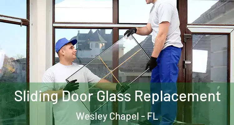  Sliding Door Glass Replacement Wesley Chapel - FL