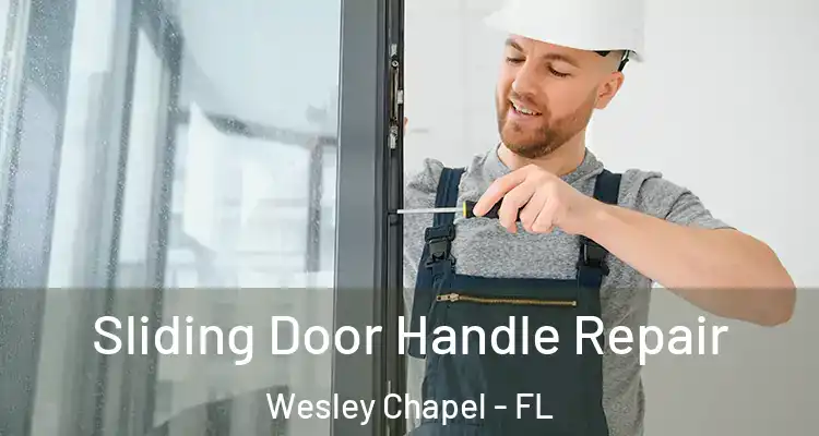  Sliding Door Handle Repair Wesley Chapel - FL