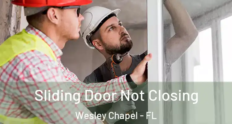  Sliding Door Not Closing Wesley Chapel - FL