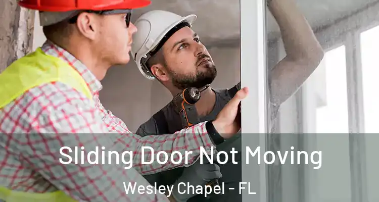  Sliding Door Not Moving Wesley Chapel - FL