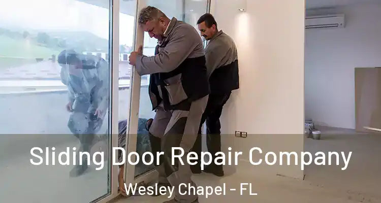 Sliding Door Repair Company Wesley Chapel - FL