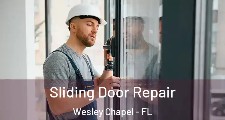  Sliding Door Repair Wesley Chapel - FL