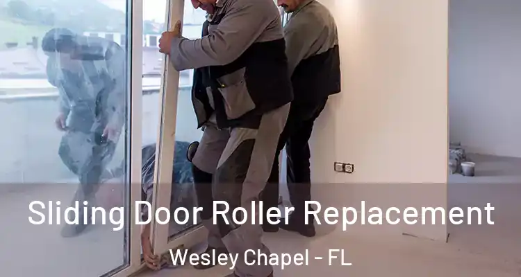  Sliding Door Roller Replacement Wesley Chapel - FL