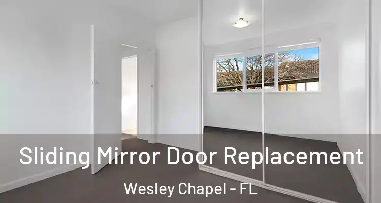  Sliding Mirror Door Replacement Wesley Chapel - FL