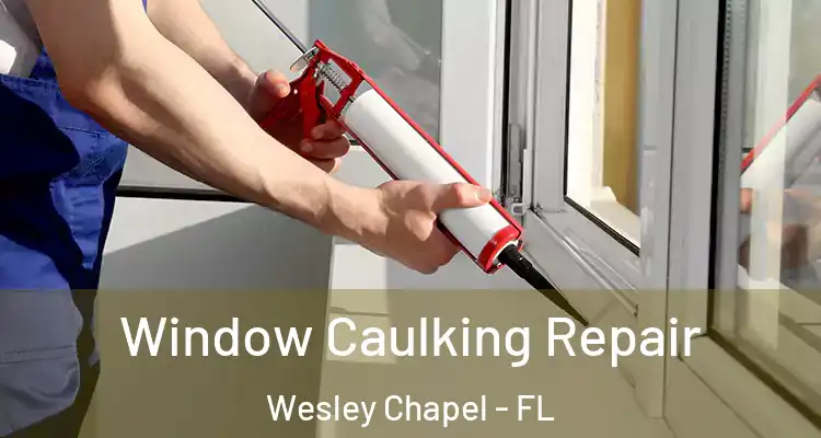 Window Caulking Repair Wesley Chapel - FL
