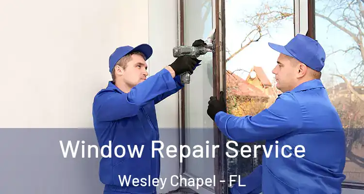 Window Repair Service Wesley Chapel - FL