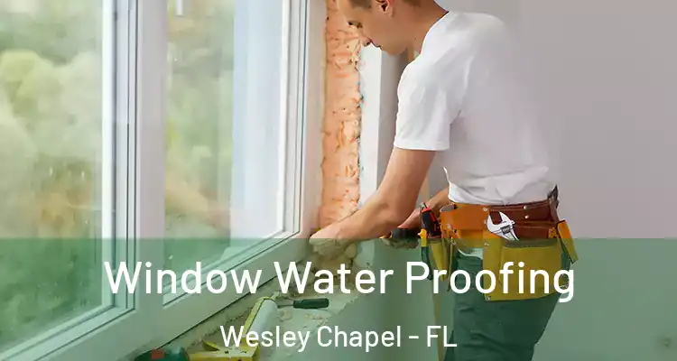  Window Water Proofing Wesley Chapel - FL
